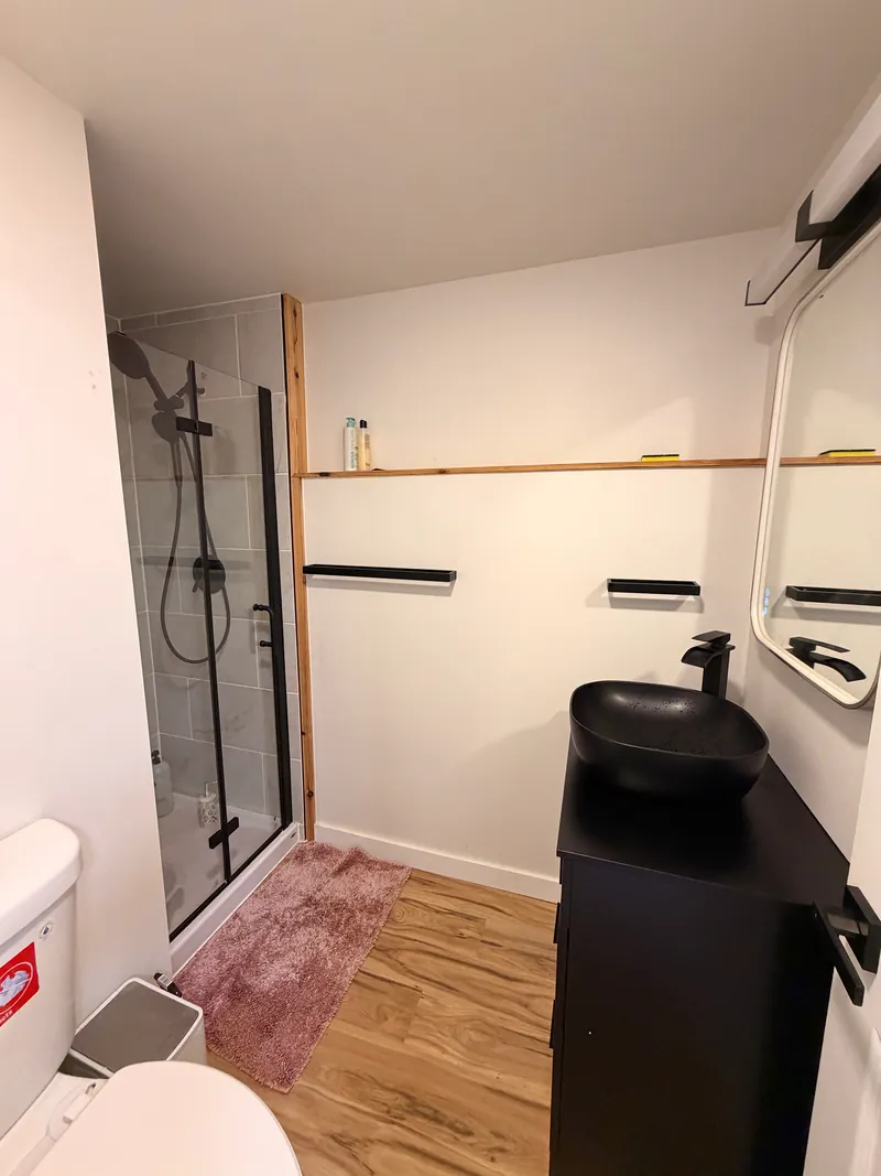 Remodeled bathroom with a black vessel sink, glass shower and wood floor