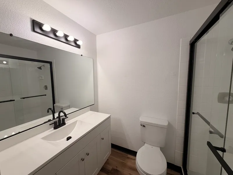 Renovated bathroom with a white vanity, black faucet, plank flooring and a glass shower door